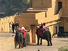 India 2019 28